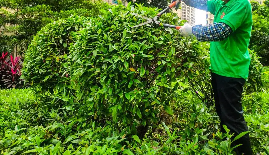 威海茂林园林绿化工程公司