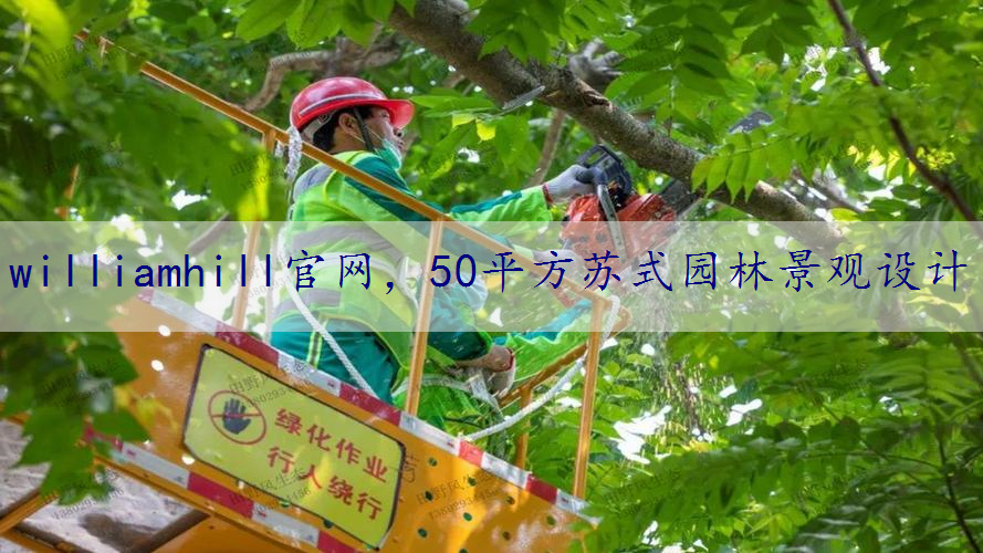 50平方苏式园林景观设计